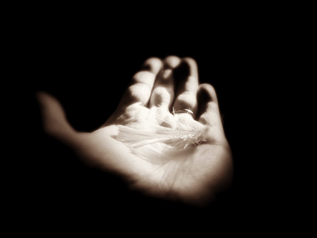 close up hand holding feather