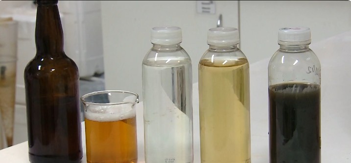 Transformação de dejetos suínos em água potável e cerveja artesanal