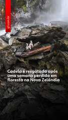 Cadela é resgatada após uma semana perdida em floresta na Nova Zelândia; VÍDEO 1 featured 1775047130218